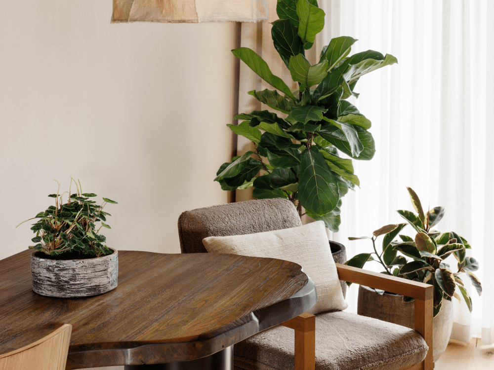 5つ星ホテルの家具メーカー