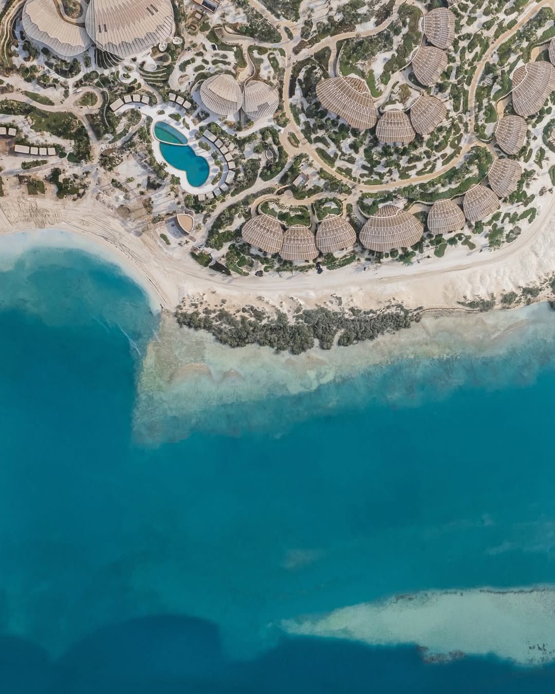 レッド シー アディソン ホテル