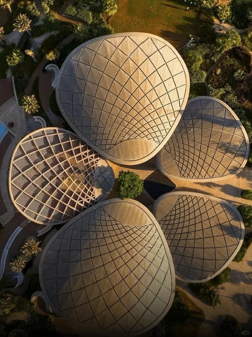 レッド シー アディソン ホテル